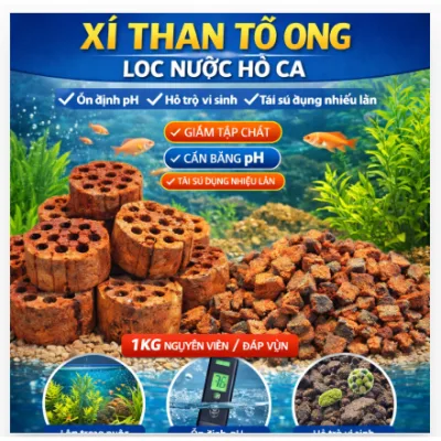 Xỉ Than Tổ Ong Lọc Nước Hồ Cá Thuysinhsudon – Ổn Định pH, Hỗ Trợ Vi Sinh (1kg Nguyên Viên / Đập Vụn)
