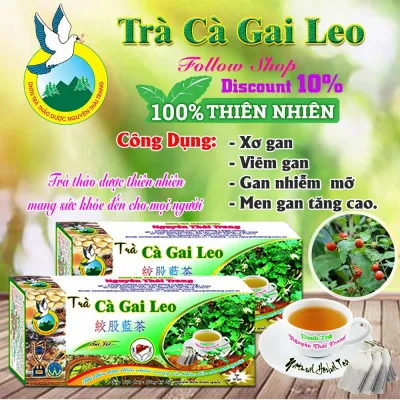 Combo Set of 5 Boxes of Solanum procumbens Tea (Box of 50 Filter Bags X 2g) - Nguyen Thai Trang – Natural Herbs – Good for Health