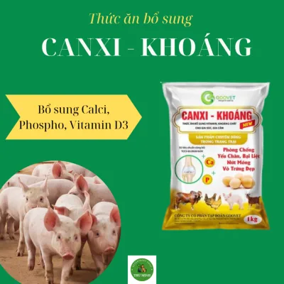 CANXI KHOÁNG - G.V- tăng khung, chắc xương, chống yếu chân, bại liệt, nứt móng, vỏ trứng dày đẹp 1kg