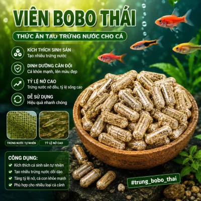 Viên BoBo Thái thức ăn tạo trứng nước cho cá