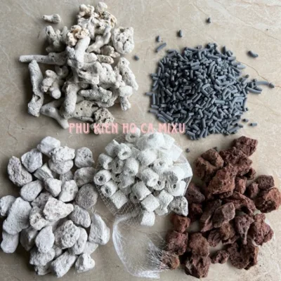 Combo 5 Loại Vật Liệu Lọc Hồ Cá: Than Hoạt Tính - Sứ Trắng - San Hô - Nham Thạch - Đá lông vũ