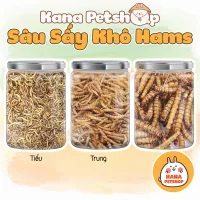 Sâu Sấy Khô Hamster 🐹FREESHIP🐹Thức Ăn Dặm Sâu Rang Bơ Dinh Dưỡng Bổ Sung Canxi Hamter ,Nhím , Chim