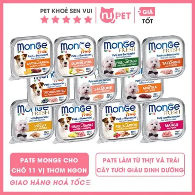 Pate Monge trái cây thơm ngon dành cho chó tại Nupet | Thức ăn ướt dinh dưỡng Monge cho chó hộp 100g