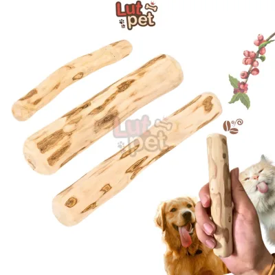 Thanh gặm xương cho chó bằng gỗ cà phê, que, xương gỗ cafe đồ chơi, làm sạch răng thú cưng - lutpet