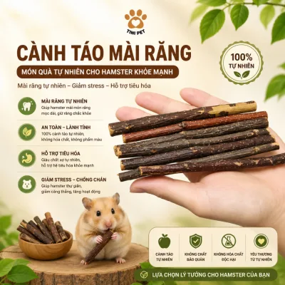 CÀNH TÁO MÀI RĂNG CHO HAMSTER, CHUỘT LANG, THỎ, SÓC – TINI PET | AN TOÀN CHO THÚ CƯNG