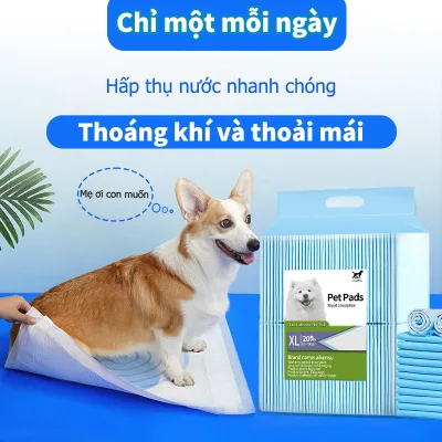 miếng lót vệ sinh khử mùi hôi cho chó,tã lót sàn khay vệ sinh chó