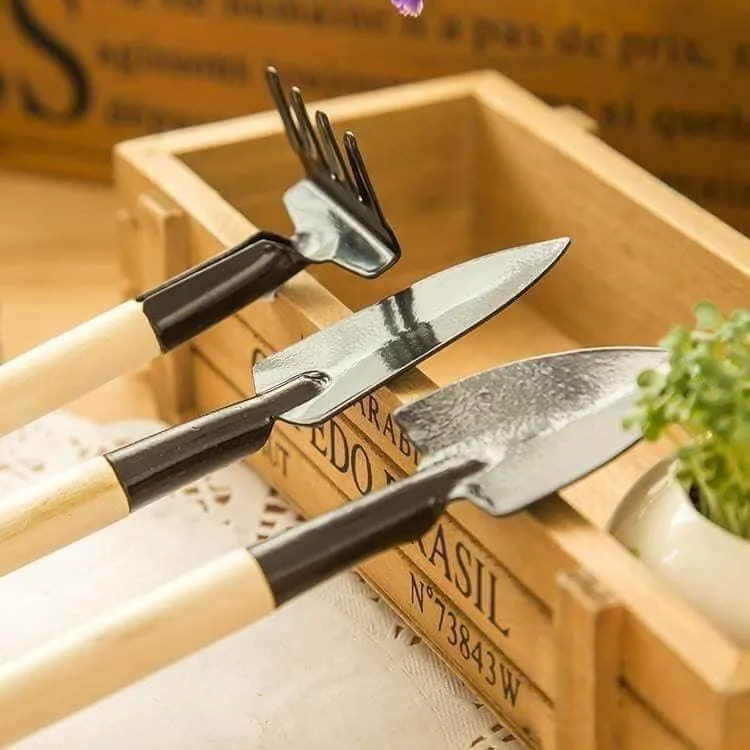 Bộ dụng cụ làm vườn 3 món, dụng cụ chăm sóc cây cảnh bằng kim loại - DMA store