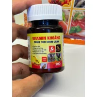 Khoáng và vitamin cho chim cảnh Sao Việt