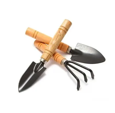 Bộ Dụng Cụ Làm Vườn Mini Gồm 3 Món Chất Liệu Sắt Sơn Tĩnh Điện, Cán Gỗ Tiện Dụng, Hữu Ích Chăm Sóc Cây