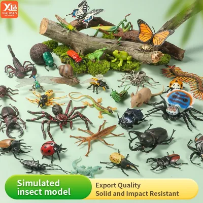 Mới Côn Trùng Động Vật Mô Hình Bướm Ong Chuồn Chuồn Mantis Kiến Ốc Nhân Vật Hành Động Bộ Sưu Tập Trang Trí Trẻ Em Giáo Dục Đồ Chơi