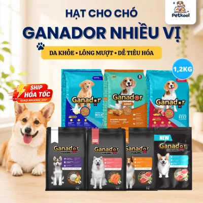 1,2Kg Thức ăn hạt Ganador cho chó đa dạng hương vị giúp thú cưng cơ xương và bộ lông khỏe mạnh Pet Kool