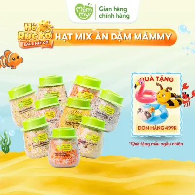 Hạt mix sẵn cho bé ăn dặm Mămmy kết hợp bởi hạt óc chó, hạt kê, hạt chia và các loại hạt quý, hũ 120g - 145g