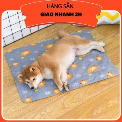 Đệm gel nước làm mát cho chó mèo cao cấp