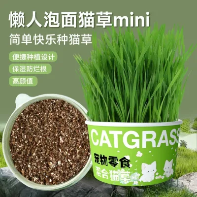 Thú Cưng Cỏ Đóng Hộp Thú Cưng Mèo Cỏ Thủy Canh Không Đất Tẩy Lông Bóng Giúp Tiêu Hóa Trong Chậu Mì Ăn Liền Cho Thú Cưng Đồ Ăn Nhẹ Cho Thú Cưng Cỏ Mèo