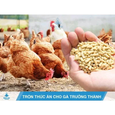 Bao 25KG Thức Ăn gà tơ Vina 260 thức Ăn gà giò thức Ăn gà lớn cám gà lớn cám cho gà giò