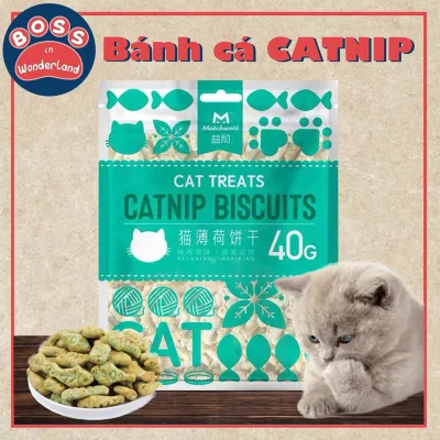 Bánh cá thưởng Catnip dành cho mèo hỗ trợ làm sạch răng tiêu búi lông GÓI 40G