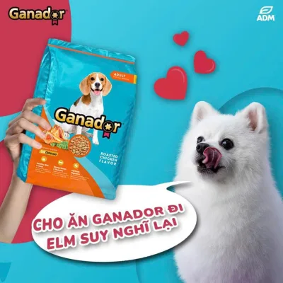 10KG Thức ăn cho chó Ganador adult roasted chicken flavor - vị gà nướng - Thức ăn hạt cho chó