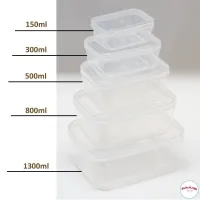 Hộp nhựa trữ đông đồ ăn dặm 160ml/300ml/500ml -Hộp đựng thức ăn Việt Nhật (MS:6685-1/6685-2/6685-3)