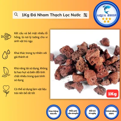 1kg Đá Nham Thạch Lọc Nước Lọc Nước Và Có Thể Tái Sử Dụng (1kg Cỡ Chân Cái, Tay Út)