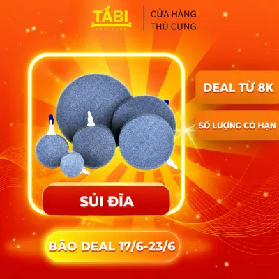 Sủi Dĩa Oxy Hồ Cá - Đá Sủi Dĩa Oxi Mịn Cho Bể Cá Thuỷ Sinh [SỦI DĨA]