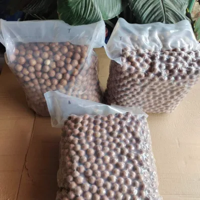 1kg hạt macca Đăk Lăk hữu cơ giàu dinh dưỡng, ăn vặt làm sữa hạt giá tốt