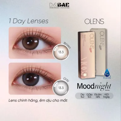 Kính áp tròng 1 ngày DABAE Moodnight Brown/Gray DIA 14.2mm có độ 0-8