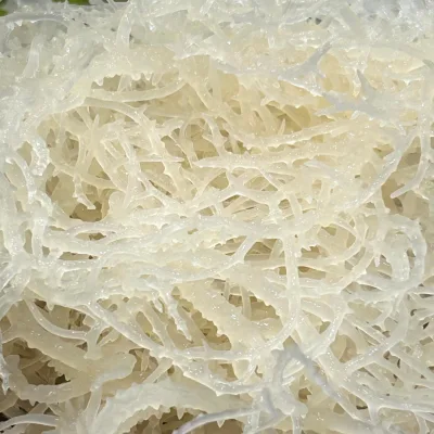 1KG Rong sụn gai biển muối khô một nắng, nấu chè ngon giòn, gỏi rong sụn, seamoss gel, nấu chè dưỡng nhan