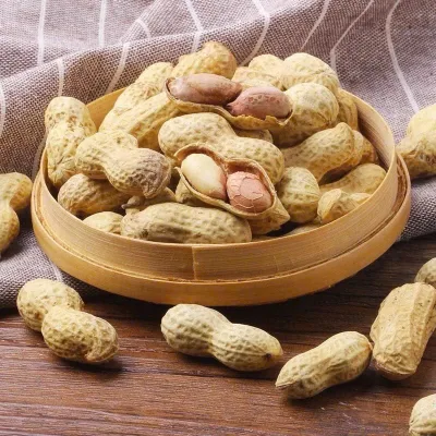 1kg Lạc rang nguyên vỏ tẩm vị sữa, Lạc củ tầm vị, đậu phộng rang, thơm, ngon tuyệt hảo