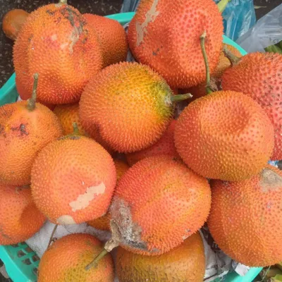 Trái Gấc Tươi 1kg gấc nếp gấc đỏ Síp hỏa tốc 1h nhận hàng