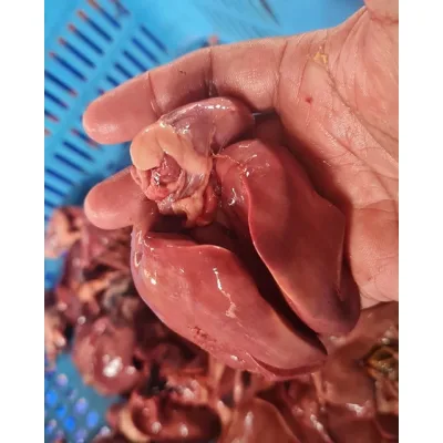 Gan gà sạch bỏ mật (1kg) - Gan gà tươi - Gan làm patê - Thức ăn chó mèo - Thức ăn Thú Cưng - PetFood