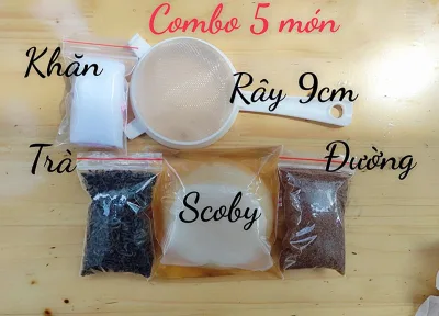 combo 5 món nuôi SCOBY/KOMBUCHA không thể thiếu