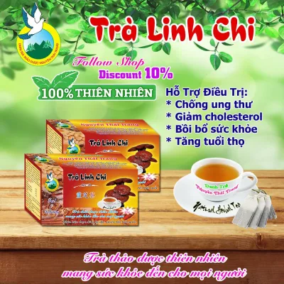 lingzhi tea