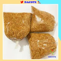 500g Kê đỏ loại to, hạt tròn bóng mẩy cho chim vẹt, sẻ, manh manh nhật, sắc nhật, yến hót, bạc má...