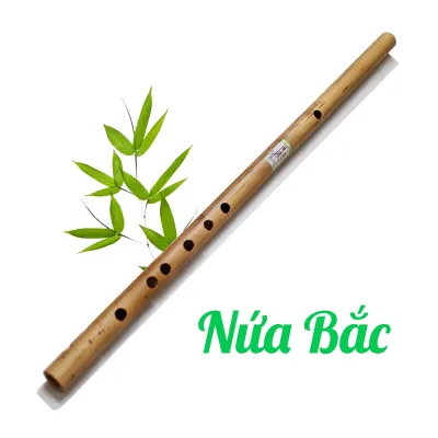 Sáo trúc SINH VIÊN - Sáo trúc giá rẻ - Sáo Đô C5 đủ dùng tập luyện cơ bản - Đúng tone - Chuẩn nốt - Đủ quãng
