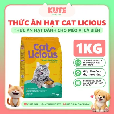 Thức ăn hạt Cat licious thức ăn dành cho mèo hạt mèovị cá biển-Cat licious gói 1kg<petsvi