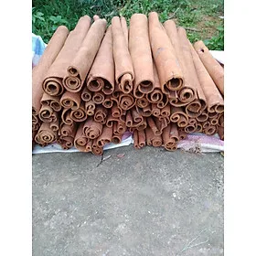 Quế thanh các loại ngắn gia vị nấu ăn và làm trà
