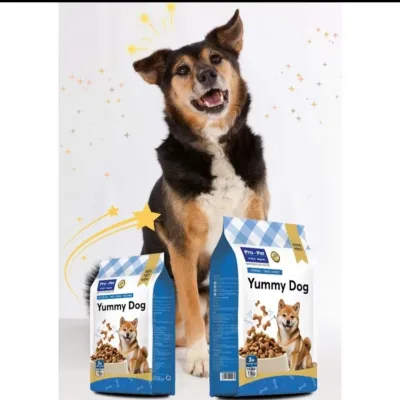 THỨC ĂN HẠT YUMMY DOG DÀNH CHO THÚ CƯNG HỖ TRỢ MIỄN DỊCH ĐẸP DA LÔNG 5KG