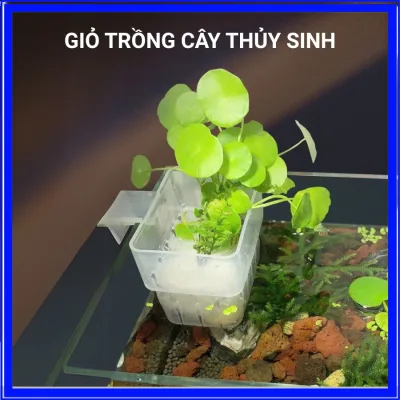 Cốc Nhựa Treo Thành Bể Trồng Cây Thủy Sinh Thủy Canh Chất Liệu Nhựa Mica Trang Trí Hồ Cá