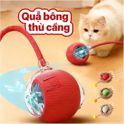 Có Kèm Đuôi Chuột Tăng Thích Ứng,Giảm căng thẳng