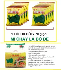 CHỈ 59.800 Đ/Lốc 10 gói MÌ ĂN LIỀN - Mì Chay Lá Bồ Đề thương hiệu “Bình Tây”- Hương vị mì chay huyền thoại, thơm phức hương vị rau củ quả. Với phần nước mì luôn trong vắt và sơi mì dai ngon hơn 60 năm tồn