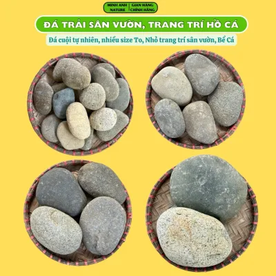 Đá Cuội Setup Bể Cá Thuỷ Sinh, Đá Trang Trí Sân Vườn, Cuội To Làm Viên Chủ Hồ Cá Biotop & Hồ Cá Koi
