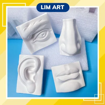 Face Plaster Model Set – Eyes, Nose, Ears, Lips – Basic Drawing Practice Tools Lim Art