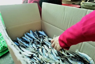 Khô cá nục bỏ đầu 500gr, to béo thơm ngon, thịt dai, giàu dinh dưỡng. phơi Khô tự nhiên,,hải sản khô, thực phẩm khô Thiên Tú , chất lượng , uy tín , bổ dưỡng cho mọi gia đình