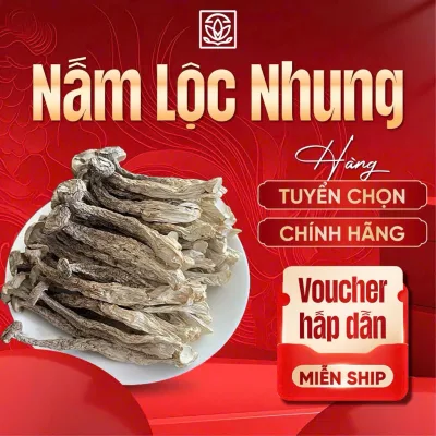 Nấm lộc nhung khô LOẠI 1 nguyên cây, hương vị thuần khiết từ thiên nhiên bổ dưỡng, hàng xuất khẩu