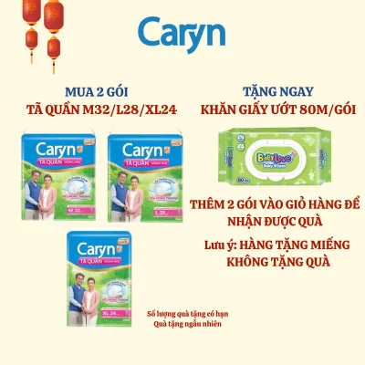 Caryn Diapers for the Elderly, Size M32