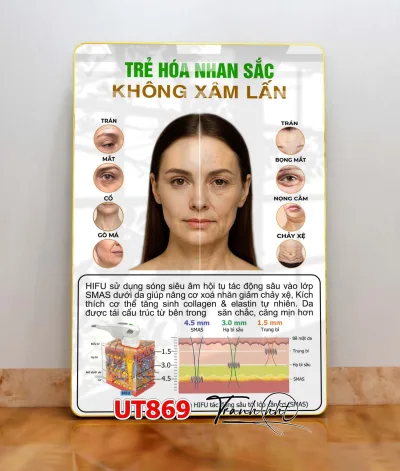 Decorative Spa Paintings, Oriental Medicine Acupressure Paintings, Wall-Mounted Mirror Paintings of Spa Acupressure Paintings for Skin Problem Care Ut869