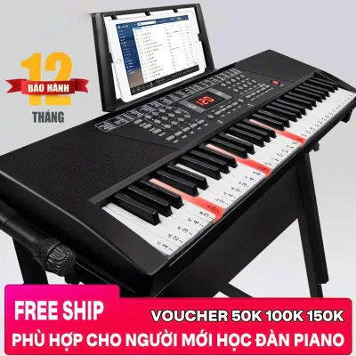 Đàn organ, đàn piano điện tử BEEMI 61 phím cao cấp, đàn luyện ngón cho người mới tập, đàn piano cho bé