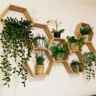 Kệ Gỗ Lục Giác Treo Tường, Kệ Tổ Ong Decor Để Cây Cảnh Chậu Hoa Trang Trí Phòng
