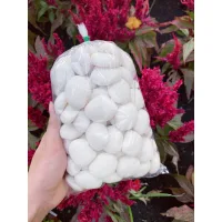 Bánh bao sữa tuổi thơ 1 bịch gồm 62 cái bánh mini có video