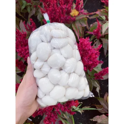 Bánh bao sữa tuổi thơ 1 bịch gồm 62 cái bánh mini có video